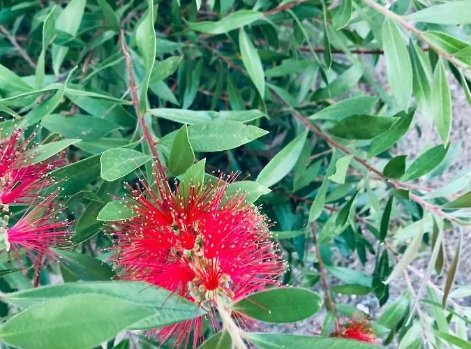 Mady Adultes Only Andernos-les-Bains